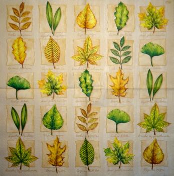 181 Plants - 3-ply - Ambiente